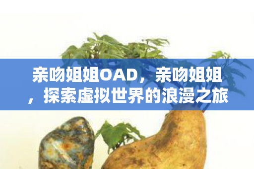 亲吻姐姐OAD,亲吻姐姐,探索虚拟世界的浪漫之旅 亲吻姐姐OAD,亲吻姐姐,探索虚拟世界的浪漫之旅