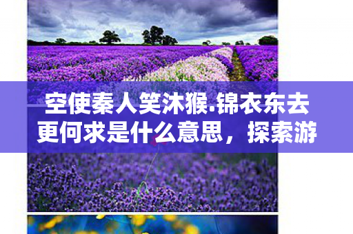 空使秦人笑沐猴.锦衣东去更何求是什么意思,探索游戏世界的多元体验,私服与官方服务器的独特魅力 空使秦人笑沐猴.锦衣东去更何求是什么意思,探索游戏世界的多元体验,私服与官方服务器的独特魅力