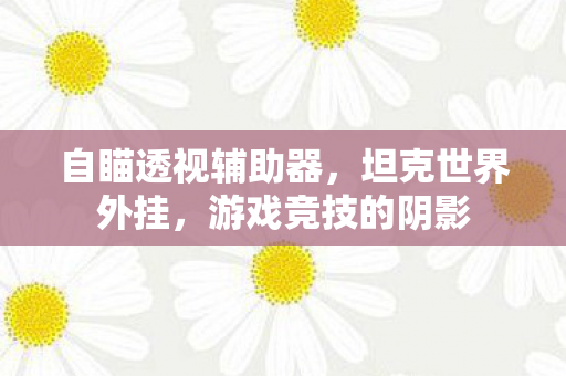 自瞄透视辅助器，坦克世界外挂，游戏竞技的阴影