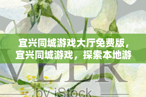 宜兴同城游戏大厅免费版,宜兴同城游戏,探索本地游戏文化的魅力 宜兴同城游戏大厅免费版,宜兴同城游戏,探索本地游戏文化的魅力