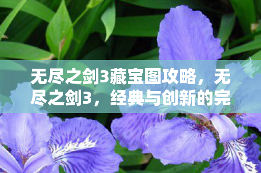 无尽之剑3藏宝图攻略,无尽之剑3,经典与创新的完美融合 无尽之剑3藏宝图攻略,无尽之剑3,经典与创新的完美融合