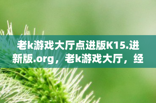 老k游戏大厅点进版K15.进新版.org，老k游戏大厅，经典游戏的回忆与传承