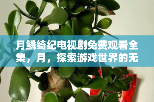 月鳞绮纪电视剧免费观看全集，月，探索游戏世界的无限可能