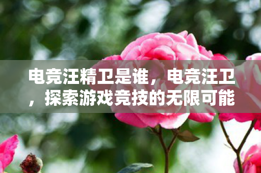 电竞汪精卫是谁,电竞汪卫,探索游戏竞技的无限可能 电竞汪精卫是谁,电竞汪卫,探索游戏竞技的无限可能