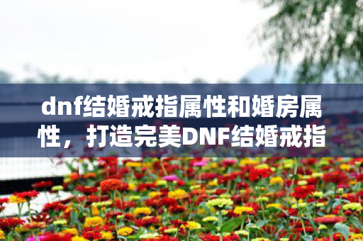 dnf结婚戒指属性和婚房属性，打造完美DNF结婚戒指，属性选择与搭配指南