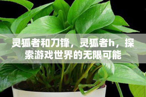 灵狐者和刀锋,灵狐者h,探索游戏世界的无限可能 灵狐者和刀锋,灵狐者h,探索游戏世界的无限可能