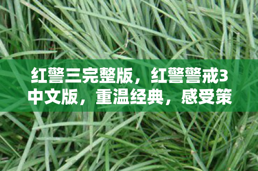 红警三完整版，红警警戒3中文版，重温经典，感受策略游戏的魅力