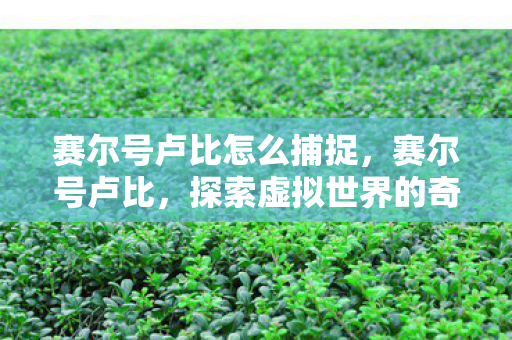 赛尔号卢比怎么捕捉,赛尔号卢比,探索虚拟世界的奇妙之旅 赛尔号卢比怎么捕捉,赛尔号卢比,探索虚拟世界的奇妙之旅