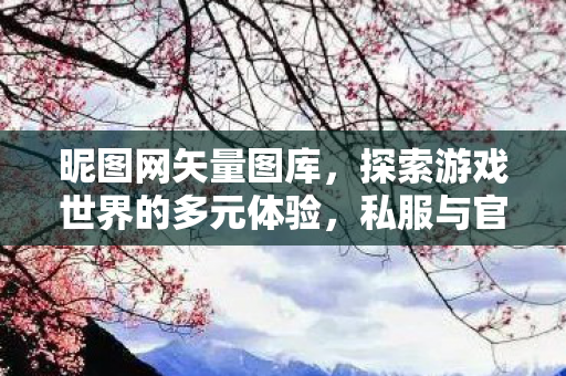 昵图网矢量图库,探索游戏世界的多元体验,私服与官方服务器的差异与共存 昵图网矢量图库,探索游戏世界的多元体验,私服与官方服务器的差异与共存
