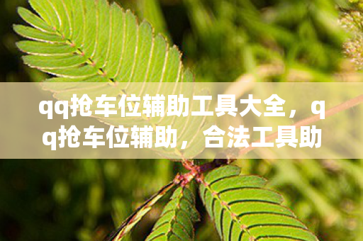 qq抢车位辅助工具大全,qq抢车位辅助,合法工具助你轻松抢车位 qq抢车位辅助工具大全,qq抢车位辅助,合法工具助你轻松抢车位