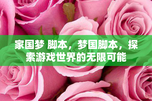 家国梦 脚本，梦国脚本，探索游戏世界的无限可能