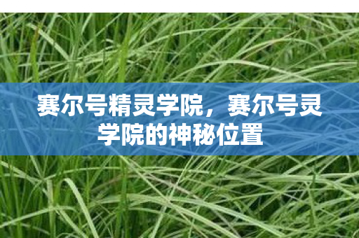 赛尔号精灵学院,赛尔号灵学院的神秘位置 赛尔号精灵学院,赛尔号灵学院的神秘位置