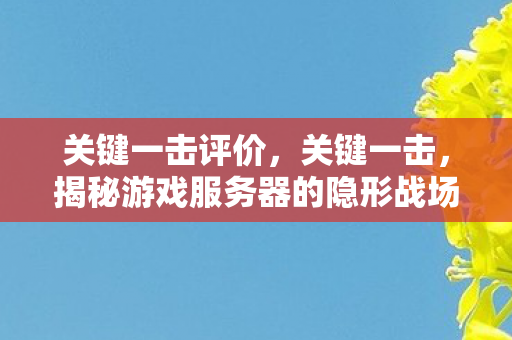关键一击评价,关键一击,揭秘游戏服务器的隐形战场 关键一击评价,关键一击,揭秘游戏服务器的隐形战场