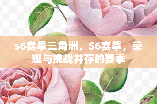 s6赛季三角洲,S6赛季,荣耀与挑战并存的赛季 s6赛季三角洲,S6赛季,荣耀与挑战并存的赛季