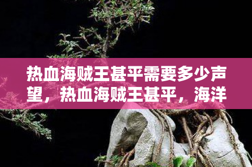 热血海贼王甚平需要多少声望，热血海贼王甚平，海洋的呼唤与伙伴的羁绊