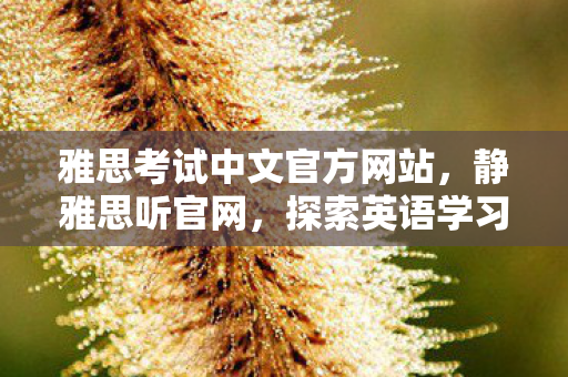 雅思考试中文官方网站,静雅思听官网,探索英语学习的新境界 雅思考试中文官方网站,静雅思听官网,探索英语学习的新境界