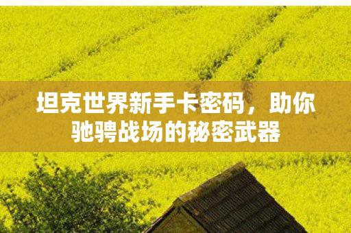 坦克世界新手卡密码，助你驰骋战场的秘密武器
