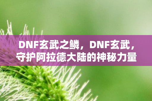 DNF玄武之鳞，DNF玄武，守护阿拉德大陆的神秘力量