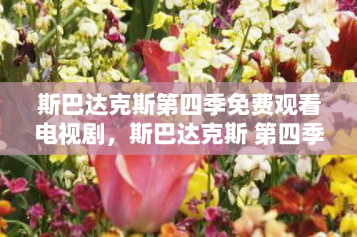 斯巴达克斯第四季免费观看电视剧,斯巴达克斯 第四季,权力的游戏,英雄的崛起 斯巴达克斯第四季免费观看电视剧,斯巴达克斯 第四季,权力的游戏,英雄的崛起