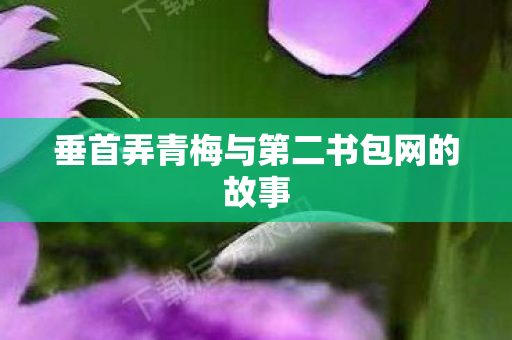 垂首弄青梅与第二书包网的故事 垂首弄青梅与第二书包网的故事