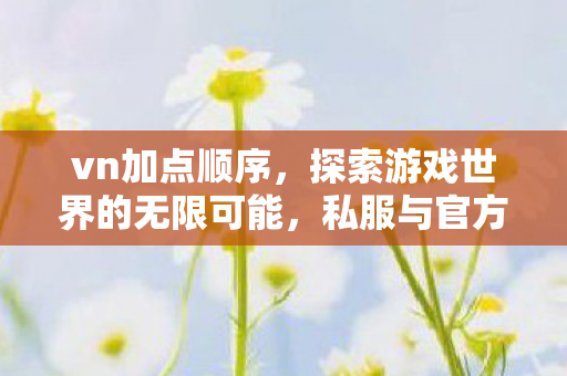 vn加点顺序,探索游戏世界的无限可能,私服与官方服务器的独特魅力 vn加点顺序,探索游戏世界的无限可能,私服与官方服务器的独特魅力