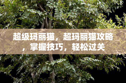 超级玛丽猫,超玛丽猫攻略,掌握技巧,轻松过关 超级玛丽猫,超玛丽猫攻略,掌握技巧,轻松过关