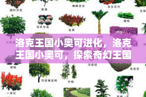 洛克王国小奥可进化,洛克王国小奥可,探索奇幻王国的奇妙之旅 洛克王国小奥可进化,洛克王国小奥可,探索奇幻王国的奇妙之旅