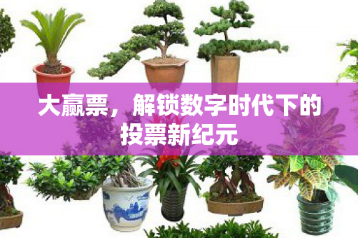 大赢票，解锁数字时代下的投票新纪元