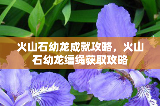 火山石幼龙成就攻略,火山石幼龙缰绳获取攻略 火山石幼龙成就攻略,火山石幼龙缰绳获取攻略