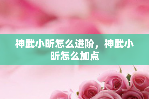 神武小昕怎么进阶,神武小昕怎么加点 神武小昕怎么进阶,神武小昕怎么加点