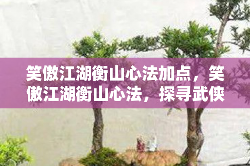 笑傲江湖衡山心法加点,笑傲江湖衡山心法,探寻武侠世界的内功精髓 笑傲江湖衡山心法加点,笑傲江湖衡山心法,探寻武侠世界的内功精髓