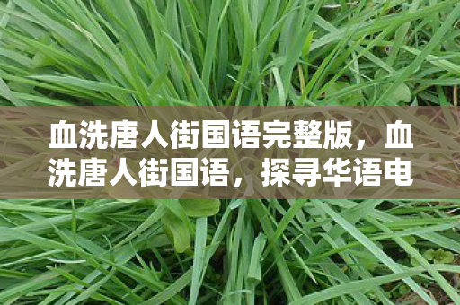 血洗唐人街国语完整版,血洗唐人街国语,探寻华语电影的海外影响力 血洗唐人街国语完整版,血洗唐人街国语,探寻华语电影的海外影响力