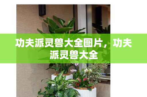 功夫派灵兽大全图片,功夫派灵兽大全 功夫派灵兽大全图片,功夫派灵兽大全