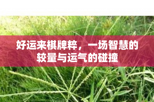 好运来棋牌粹,一场智慧的较量与运气的碰撞 好运来棋牌粹,一场智慧的较量与运气的碰撞