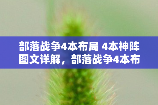 部落战争4本布局 4本神阵图文详解,部落战争4本布局,打造坚不可摧的防御体系 部落战争4本布局 4本神阵图文详解,部落战争4本布局,打造坚不可摧的防御体系
