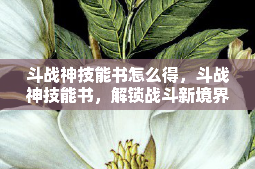 斗战神技能书怎么得,斗战神技能书,解锁战斗新境界的秘籍 斗战神技能书怎么得,斗战神技能书,解锁战斗新境界的秘籍