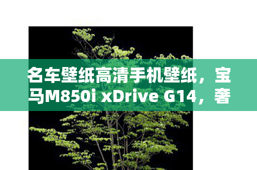 名车壁纸高清手机壁纸,宝马M850i xDrive G14,奢华与性能的完美结合 名车壁纸高清手机壁纸,宝马M850i xDrive G14,奢华与性能的完美结合