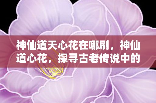 神仙道天心花在哪刷,神仙道心花,探寻古老传说中的神秘花卉 神仙道天心花在哪刷,神仙道心花,探寻古老传说中的神秘花卉