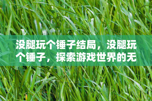 没腿玩个锤子结局,没腿玩个锤子,探索游戏世界的无限可能 没腿玩个锤子结局,没腿玩个锤子,探索游戏世界的无限可能
