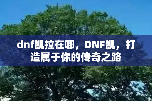 dnf凯拉在哪，DNF凯，打造属于你的传奇之路