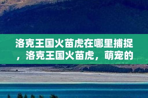洛克王国火苗虎在哪里捕捉,洛克王国火苗虎,萌宠的奇幻之旅 洛克王国火苗虎在哪里捕捉,洛克王国火苗虎,萌宠的奇幻之旅