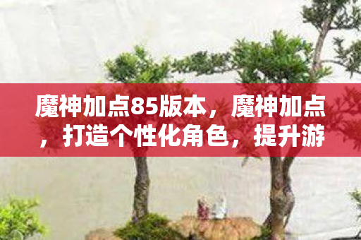 魔神加点85版本,魔神加点,打造个性化角色,提升游戏体验 魔神加点85版本,魔神加点,打造个性化角色,提升游戏体验