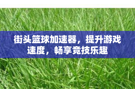 街头篮球加速器,提升游戏速度,畅享竞技乐趣 街头篮球加速器,提升游戏速度,畅享竞技乐趣