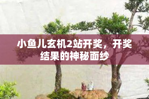 小鱼儿玄机2站开奖,开奖结果的神秘面纱 小鱼儿玄机2站开奖,开奖结果的神秘面纱