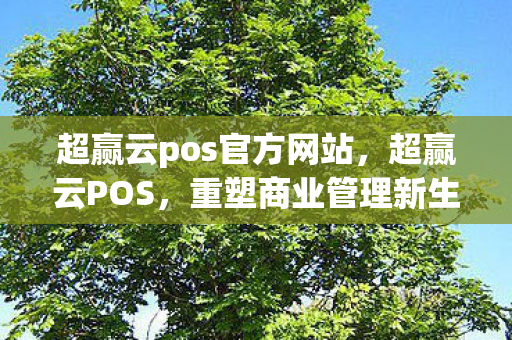 超赢云pos官方网站图片