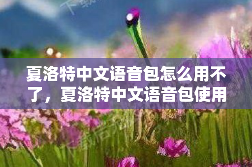 夏洛特中文语音包怎么用不了，夏洛特中文语音包使用指南