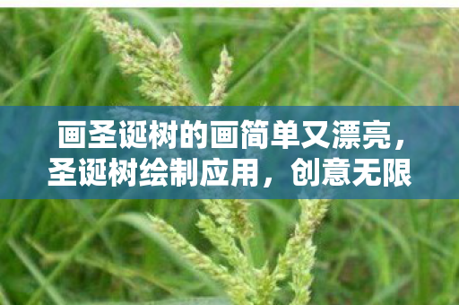 画圣诞树的画简单又漂亮,圣诞树绘制应用,创意无限的节日装饰新选择 画圣诞树的画简单又漂亮,圣诞树绘制应用,创意无限的节日装饰新选择