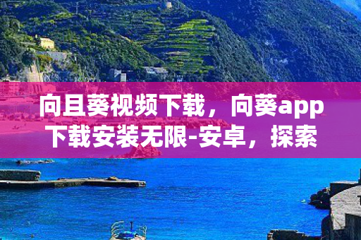 向且葵视频下载,向葵app下载安装无限-安卓,探索安卓世界的无限可能 向且葵视频下载,向葵app下载安装无限-安卓,探索安卓世界的无限可能