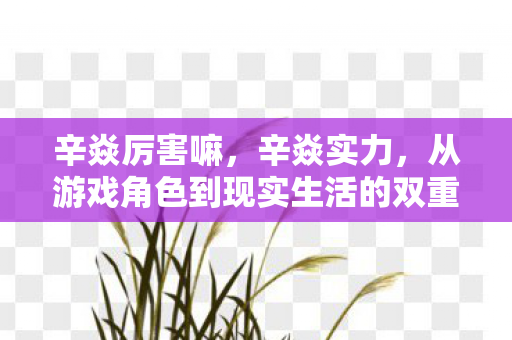 辛焱厉害嘛,辛焱实力,从游戏角色到现实生活的双重磨砺 辛焱厉害嘛,辛焱实力,从游戏角色到现实生活的双重磨砺
