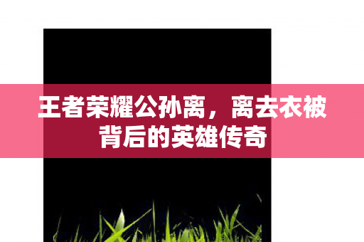 王者荣耀公孙离,离去衣被背后的英雄传奇 王者荣耀公孙离,离去衣被背后的英雄传奇
